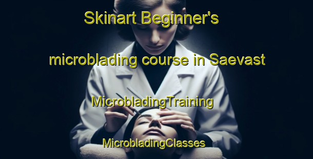 Skinart Beginner's microblading course in Saevast | MicrobladingTraining | MicrobladingClasses | SkinartTraining-Sweden