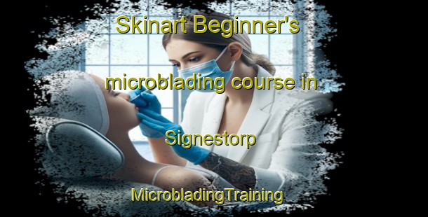 Skinart Beginner's microblading course in Signestorp | MicrobladingTraining | MicrobladingClasses | SkinartTraining-Sweden