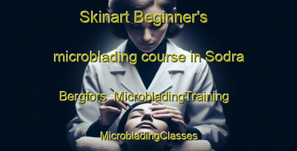 Skinart Beginner's microblading course in Sodra Bergfors | #MicrobladingTraining #MicrobladingClasses #SkinartTraining-Sweden