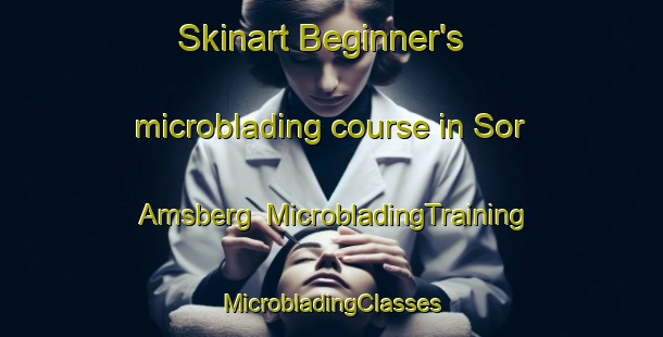 Skinart Beginner's microblading course in Sor Amsberg | #MicrobladingTraining #MicrobladingClasses #SkinartTraining-Sweden