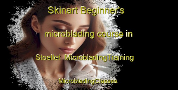 Skinart Beginner's microblading course in Stoellet | MicrobladingTraining | MicrobladingClasses | SkinartTraining-Sweden