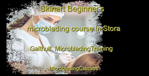 Skinart Beginner's microblading course in Stora Galthult | MicrobladingTraining | MicrobladingClasses | SkinartTraining-Sweden