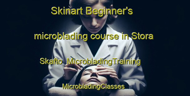 Skinart Beginner's microblading course in Stora Skafto | MicrobladingTraining | MicrobladingClasses | SkinartTraining-Sweden