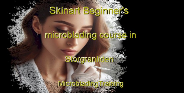 Skinart Beginner's microblading course in Storgranliden | #MicrobladingTraining #MicrobladingClasses #SkinartTraining-Sweden