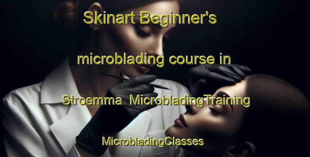 Skinart Beginner's microblading course in Stroemma | MicrobladingTraining | MicrobladingClasses | SkinartTraining-Sweden