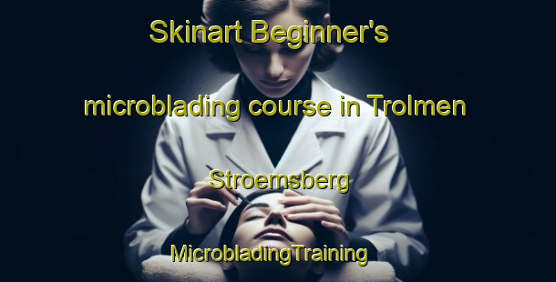 Skinart Beginner's microblading course in Trolmen Stroemsberg | MicrobladingTraining | MicrobladingClasses | SkinartTraining-Sweden