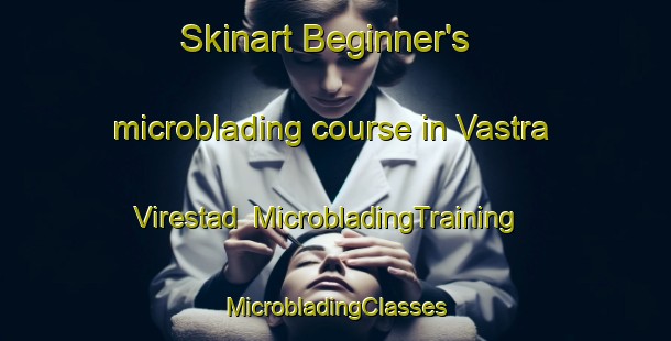 Skinart Beginner's microblading course in Vastra Virestad | #MicrobladingTraining #MicrobladingClasses #SkinartTraining-Sweden