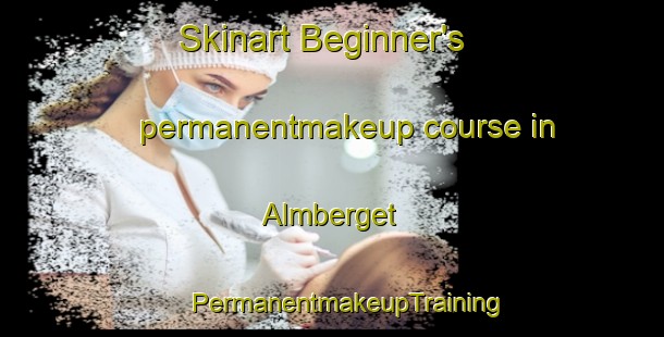 Skinart Beginner's permanentmakeup course in Almberget | #PermanentmakeupTraining #PermanentmakeupClasses #SkinartTraining-Sweden