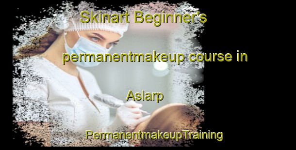 Skinart Beginner's permanentmakeup course in Aslarp | #PermanentmakeupTraining #PermanentmakeupClasses #SkinartTraining-Sweden