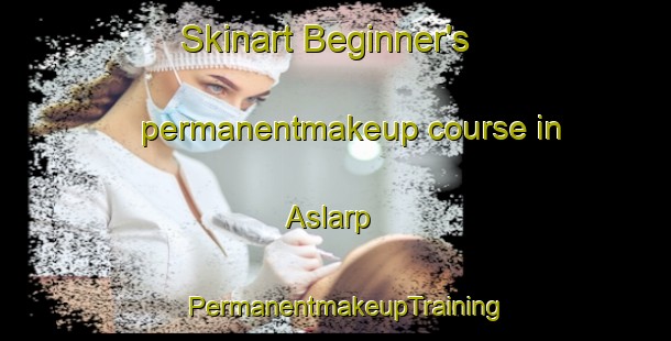 Skinart Beginner's permanentmakeup course in Aslarp | PermanentmakeupTraining | PermanentmakeupClasses | SkinartTraining-Sweden