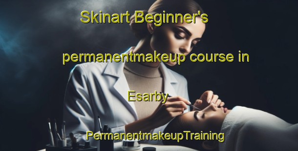 Skinart Beginner's permanentmakeup course in Esarby | #PermanentmakeupTraining #PermanentmakeupClasses #SkinartTraining-Sweden