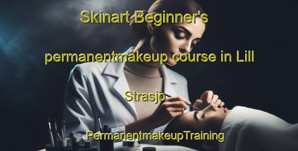 Skinart Beginner's permanentmakeup course in Lill Strasjo | #PermanentmakeupTraining #PermanentmakeupClasses #SkinartTraining-Sweden