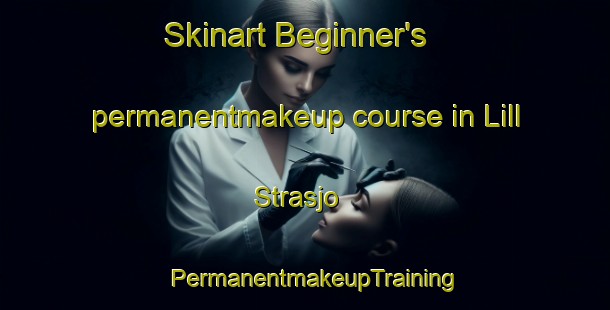 Skinart Beginner's permanentmakeup course in Lill Strasjo | PermanentmakeupTraining | PermanentmakeupClasses | SkinartTraining-Sweden