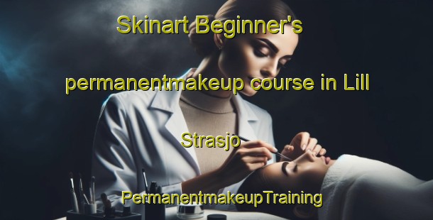 Skinart Beginner's permanentmakeup course in Lill Strasjo | PermanentmakeupTraining | PermanentmakeupClasses | SkinartTraining-Sweden