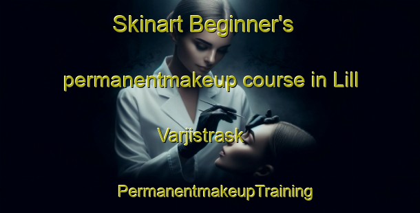 Skinart Beginner's permanentmakeup course in Lill Varjistrask | PermanentmakeupTraining | PermanentmakeupClasses | SkinartTraining-Sweden