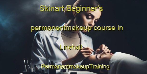 Skinart Beginner's permanentmakeup course in Linehall | PermanentmakeupTraining | PermanentmakeupClasses | SkinartTraining-Sweden