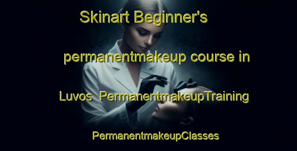 Skinart Beginner's permanentmakeup course in Luvos | #PermanentmakeupTraining #PermanentmakeupClasses #SkinartTraining-Sweden