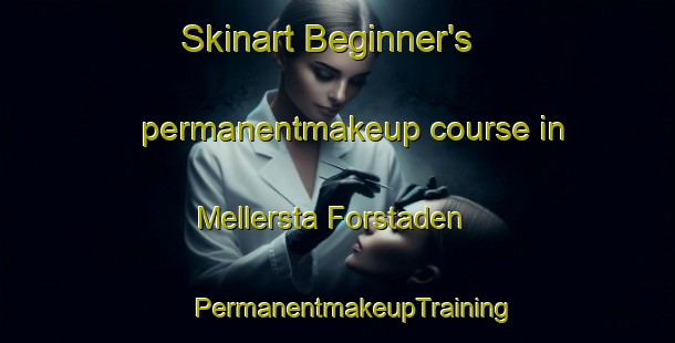 Skinart Beginner's permanentmakeup course in Mellersta Forstaden | #PermanentmakeupTraining #PermanentmakeupClasses #SkinartTraining-Sweden