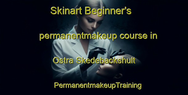 Skinart Beginner's permanentmakeup course in Ostra Skedebackshult | #PermanentmakeupTraining #PermanentmakeupClasses #SkinartTraining-Sweden