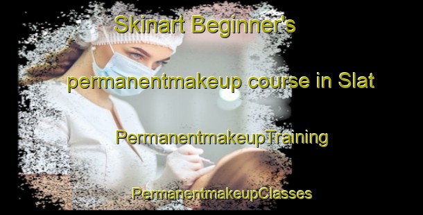 Skinart Beginner's permanentmakeup course in Slat | #PermanentmakeupTraining #PermanentmakeupClasses #SkinartTraining-Sweden