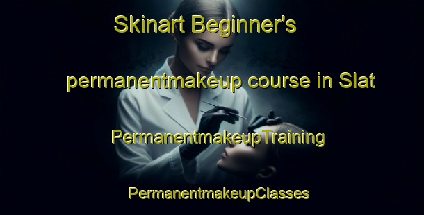 Skinart Beginner's permanentmakeup course in Slat | PermanentmakeupTraining | PermanentmakeupClasses | SkinartTraining-Sweden