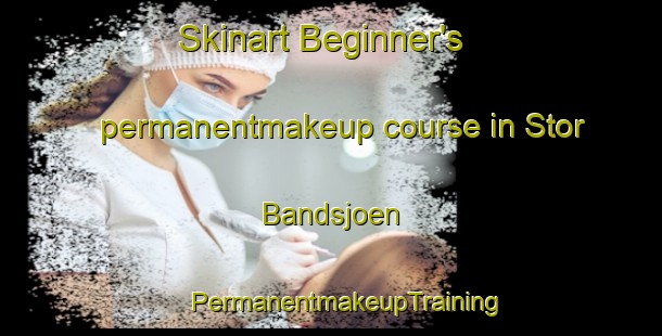 Skinart Beginner's permanentmakeup course in Stor Bandsjoen | #PermanentmakeupTraining #PermanentmakeupClasses #SkinartTraining-Sweden