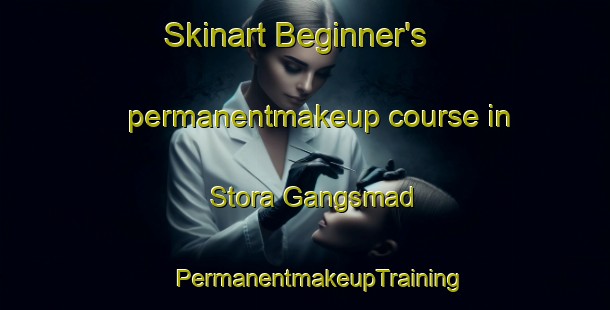 Skinart Beginner's permanentmakeup course in Stora Gangsmad | #PermanentmakeupTraining #PermanentmakeupClasses #SkinartTraining-Sweden