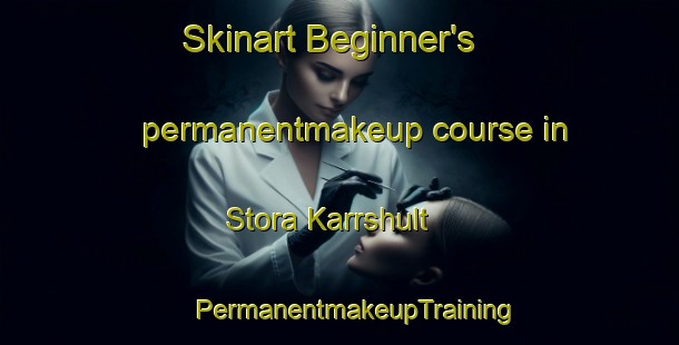 Skinart Beginner's permanentmakeup course in Stora Karrshult | #PermanentmakeupTraining #PermanentmakeupClasses #SkinartTraining-Sweden