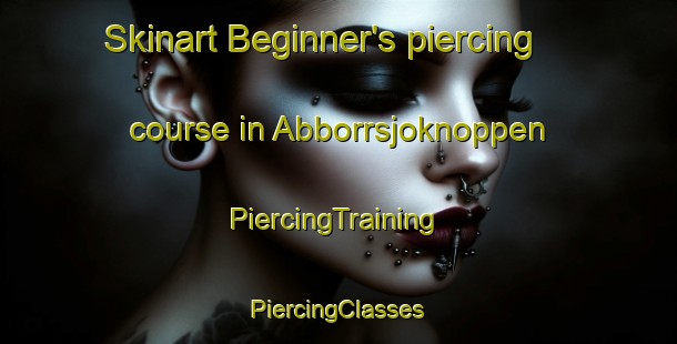 Skinart Beginner's piercing course in Abborrsjoknoppen | #PiercingTraining #PiercingClasses #SkinartTraining-Sweden