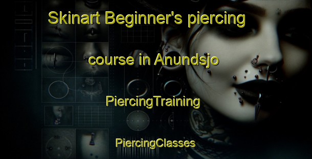 Skinart Beginner's piercing course in Anundsjo | #PiercingTraining #PiercingClasses #SkinartTraining-Sweden