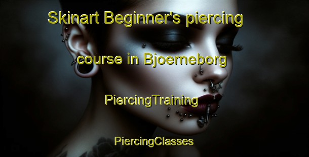 Skinart Beginner's piercing course in Bjoerneborg | #PiercingTraining #PiercingClasses #SkinartTraining-Sweden