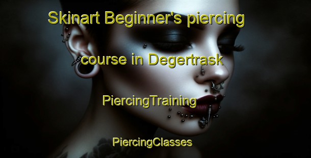 Skinart Beginner's piercing course in Degertrask | PiercingTraining | PiercingClasses | SkinartTraining-Sweden