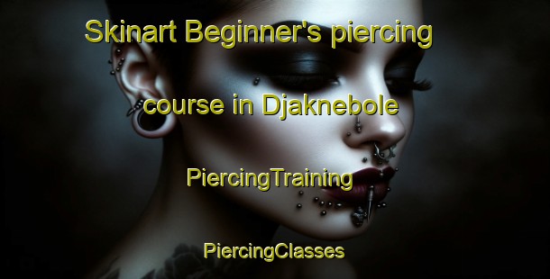 Skinart Beginner's piercing course in Djaknebole | #PiercingTraining #PiercingClasses #SkinartTraining-Sweden