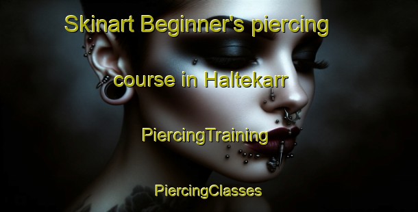 Skinart Beginner's piercing course in Haltekarr | #PiercingTraining #PiercingClasses #SkinartTraining-Sweden