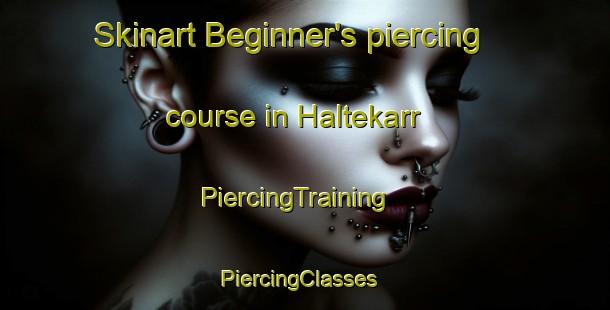 Skinart Beginner's piercing course in Haltekarr | PiercingTraining | PiercingClasses | SkinartTraining-Sweden