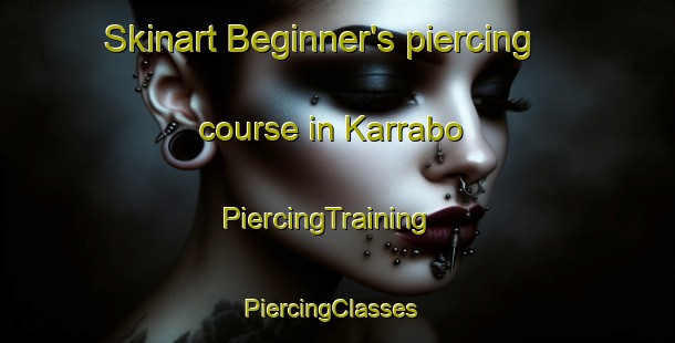 Skinart Beginner's piercing course in Karrabo | PiercingTraining | PiercingClasses | SkinartTraining-Sweden