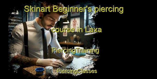 Skinart Beginner's piercing course in Laxa | PiercingTraining | PiercingClasses | SkinartTraining-Sweden