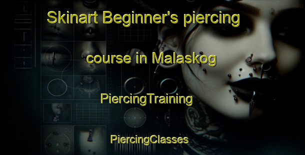 Skinart Beginner's piercing course in Malaskog | PiercingTraining | PiercingClasses | SkinartTraining-Sweden