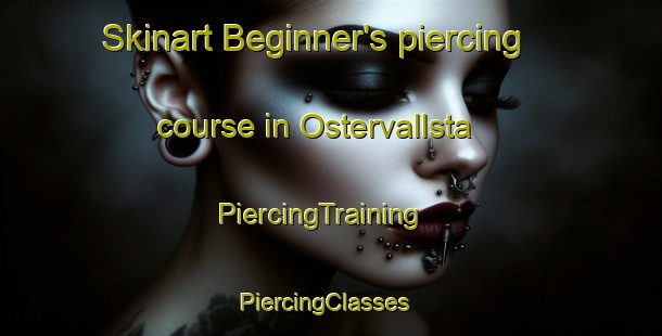 Skinart Beginner's piercing course in Ostervallsta | PiercingTraining | PiercingClasses | SkinartTraining-Sweden