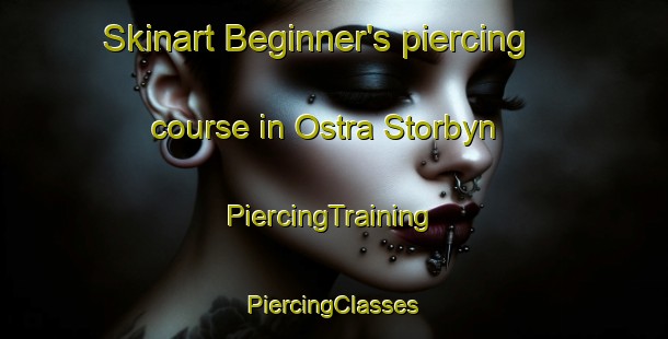 Skinart Beginner's piercing course in Ostra Storbyn | #PiercingTraining #PiercingClasses #SkinartTraining-Sweden