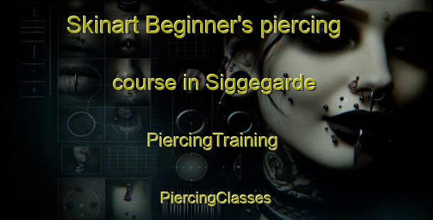 Skinart Beginner's piercing course in Siggegarde | #PiercingTraining #PiercingClasses #SkinartTraining-Sweden