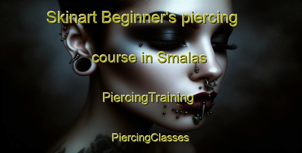 Skinart Beginner's piercing course in Smalas | #PiercingTraining #PiercingClasses #SkinartTraining-Sweden