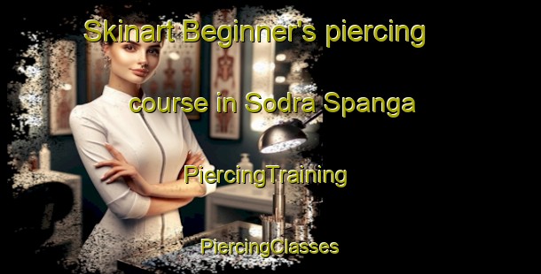 Skinart Beginner's piercing course in Sodra Spanga | #PiercingTraining #PiercingClasses #SkinartTraining-Sweden