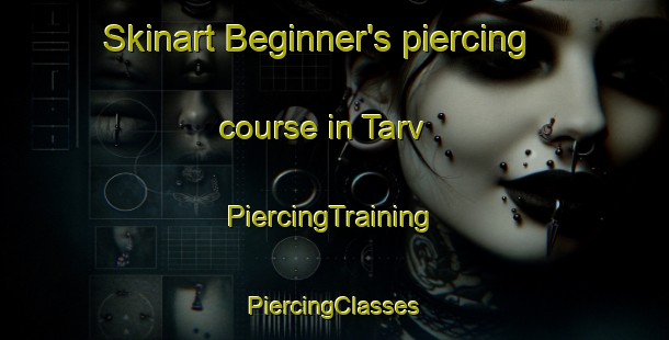 Skinart Beginner's piercing course in Tarv | #PiercingTraining #PiercingClasses #SkinartTraining-Sweden