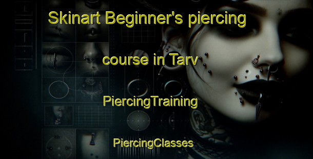 Skinart Beginner's piercing course in Tarv | PiercingTraining | PiercingClasses | SkinartTraining-Sweden