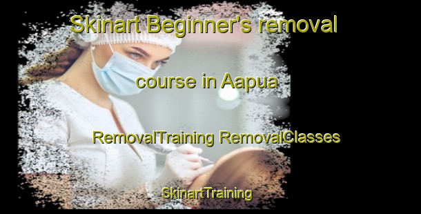 Skinart Beginner's removal course in Aapua | #RemovalTraining #RemovalClasses #SkinartTraining-Sweden