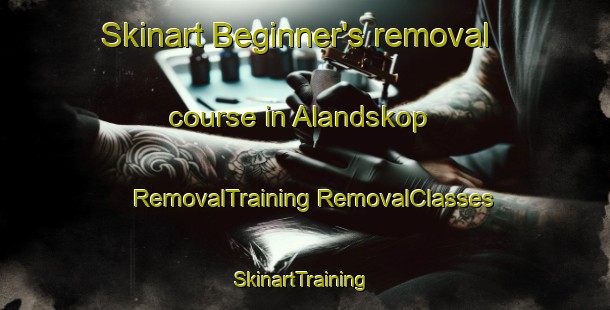 Skinart Beginner's removal course in Alandskop | #RemovalTraining #RemovalClasses #SkinartTraining-Sweden