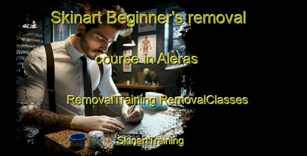 Skinart Beginner's removal course in Aleras | #RemovalTraining #RemovalClasses #SkinartTraining-Sweden