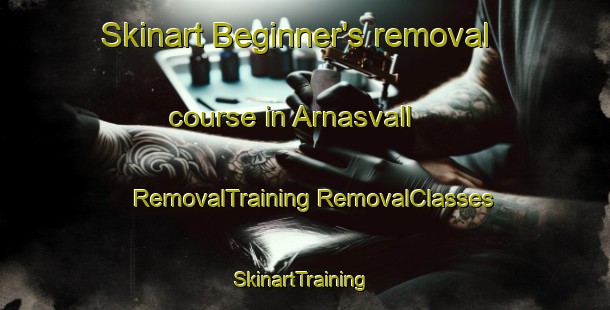 Skinart Beginner's removal course in Arnasvall | #RemovalTraining #RemovalClasses #SkinartTraining-Sweden