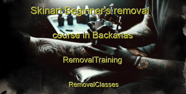 Skinart Beginner's removal course in Backanas | RemovalTraining | RemovalClasses | SkinartTraining-Sweden